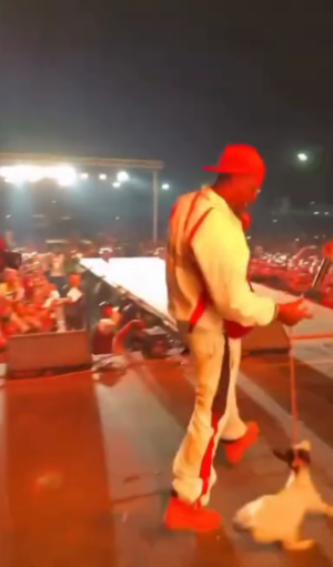 Artist’s Live Performance Raises Eyebrows After Bringing Goat On Stage