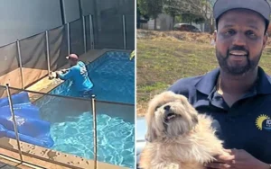 He was fixing a pool fence… then he lifted the cover and saw something unexpected